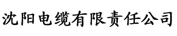 国产精品无码亚洲网电缆厂logo